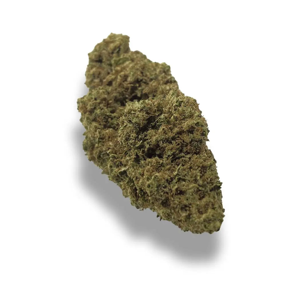Critical Temple du cbd