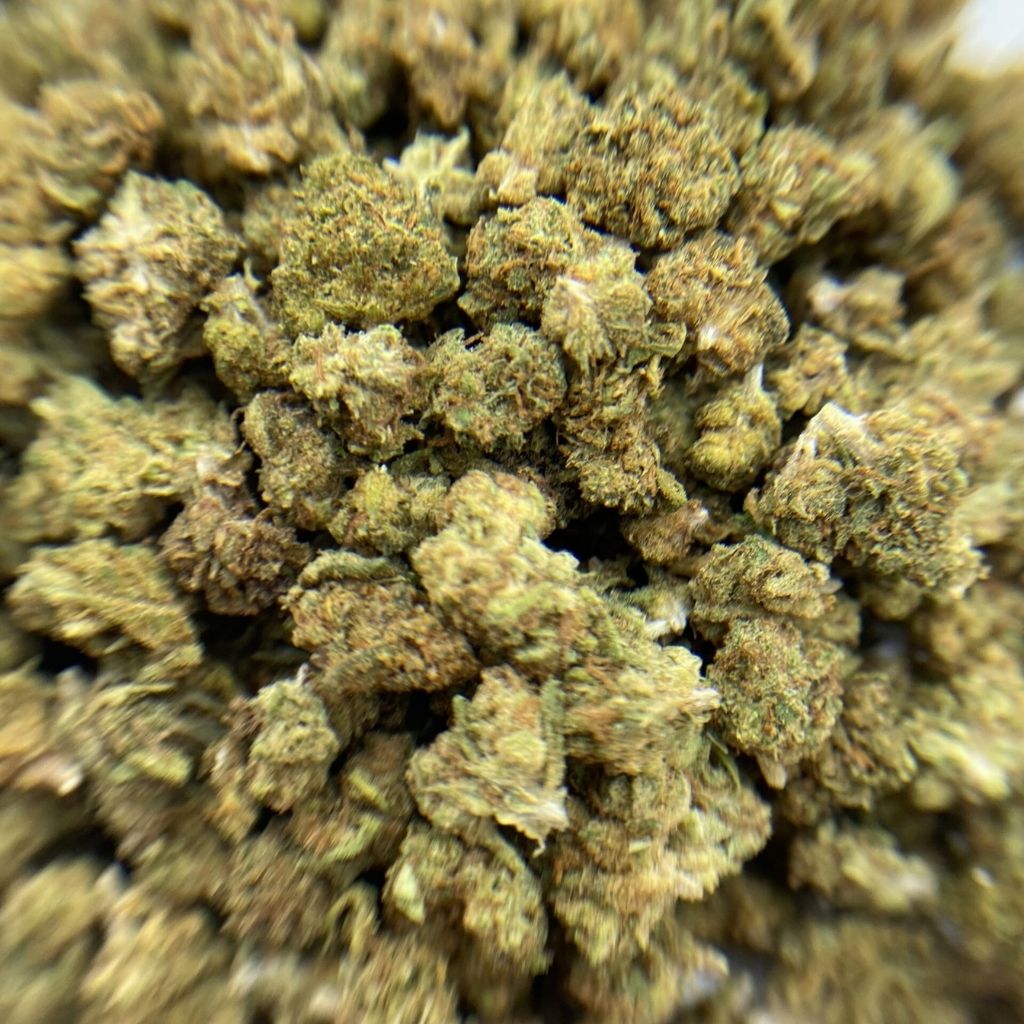 Mix Small Bud Temple du cbd