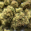 Blueberry Small Bud Temple du cbd