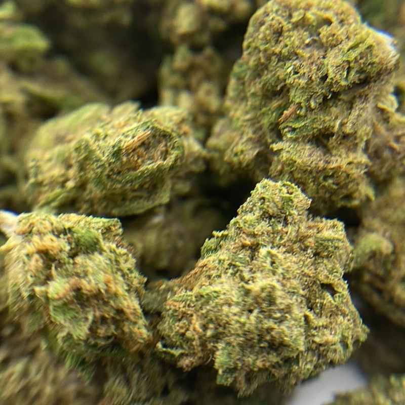 Lemon Cherry Small Bud Temple du cbd