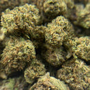 Lemon Small Bud Temple du cbd