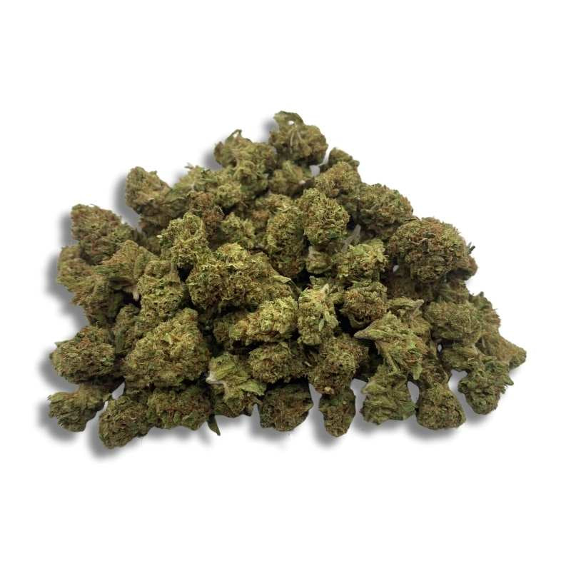 Orange Bud Small Bud