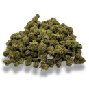 White Widow Small Bud Temple du cbd