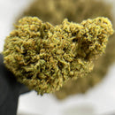 Critical Temple du cbd