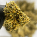 Jack Herer Temple du cbd