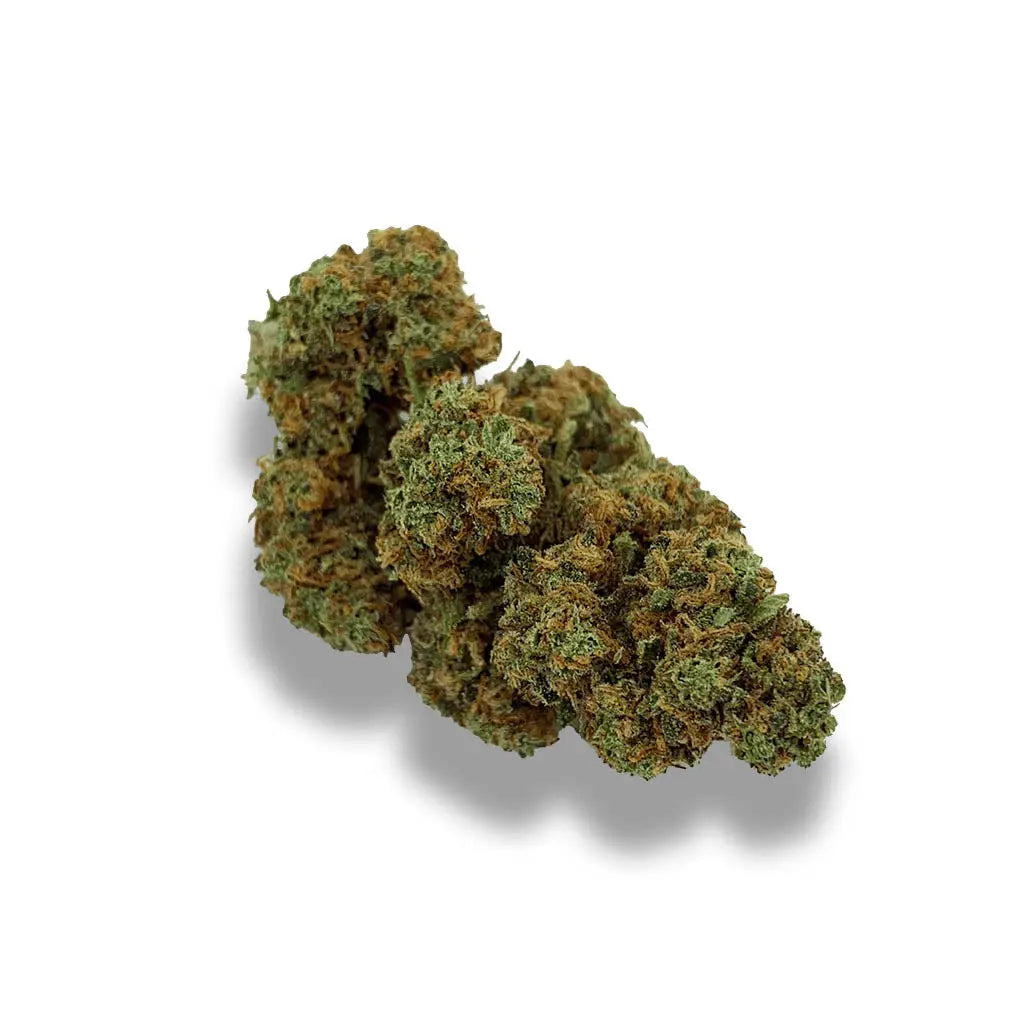 Orange Bud