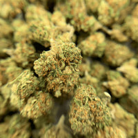 Tutti Fruity Small Bud Temple du cbd