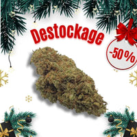 Fleur de CBD ak-47 en déstockage avec réduction de 50 %, présentée sur un fond blanc avec décoration de Noël, offre promotionnelle Le Temple du CBD.