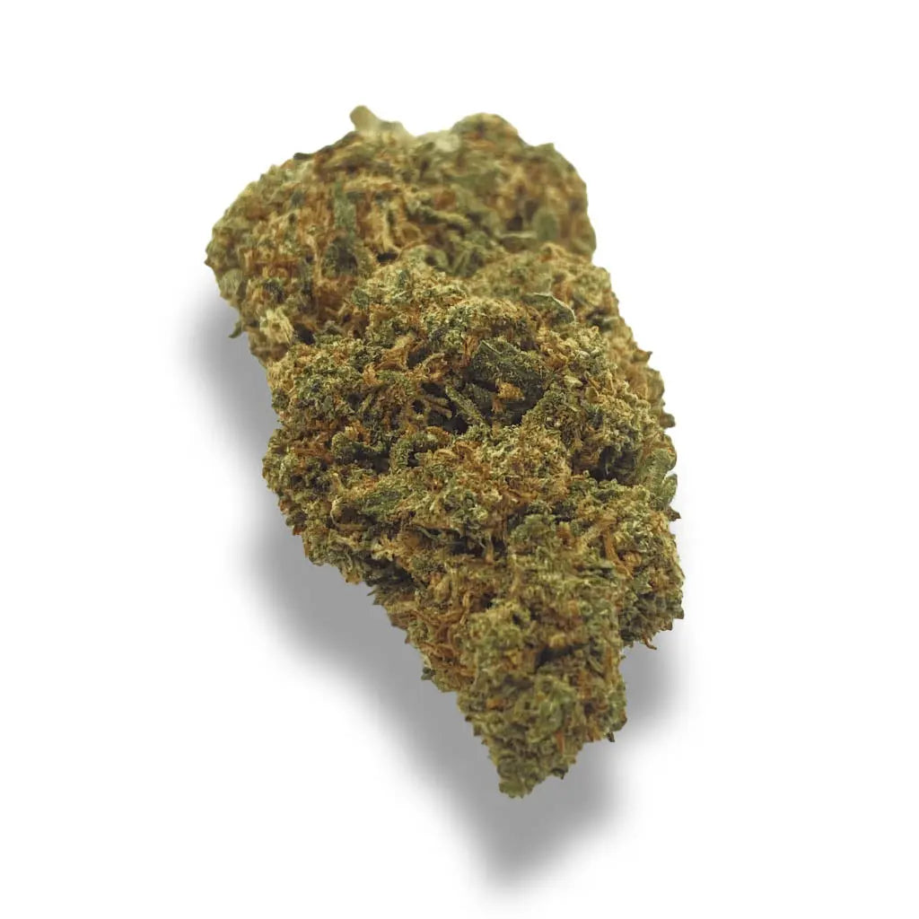 Amnesia
