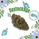 Critical Temple du cbd