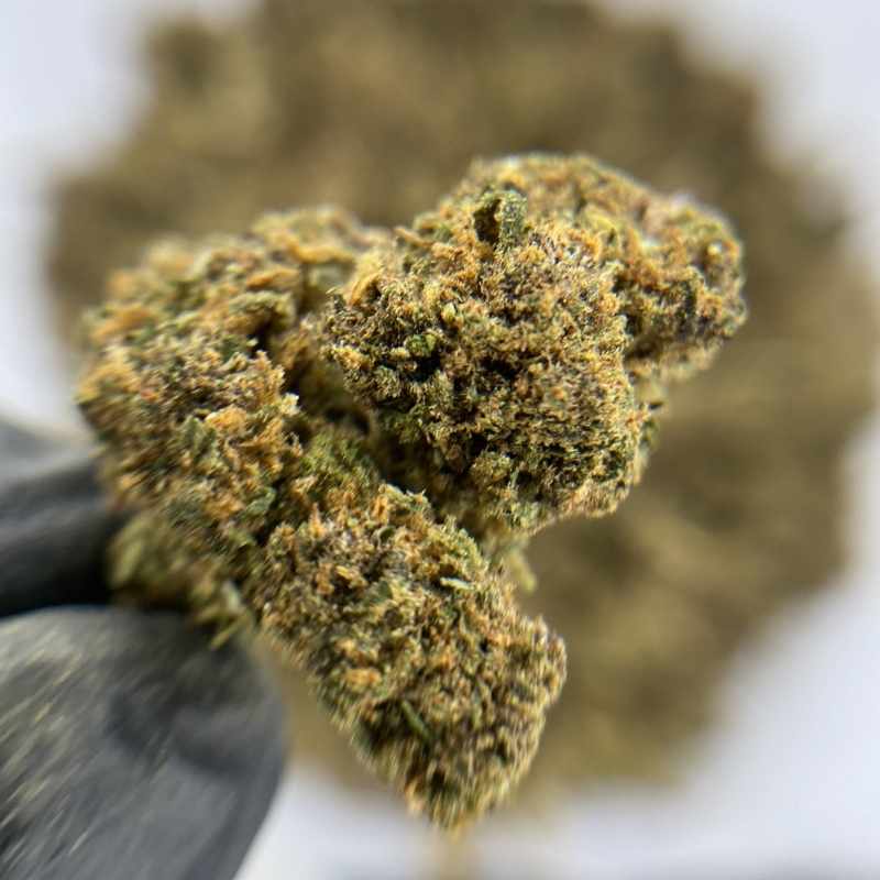 Diamond Grape Temple du cbd