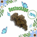 Jack Herer Temple du cbd