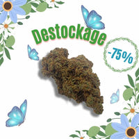 Jack Herer Temple du cbd