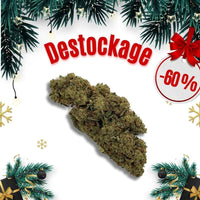 Fleur de CBD zombie kush en déstockage avec réduction de 60 %, présentée sur un fond blanc avec décoration de Noël, offre promotionnelle Le Temple du CBD.